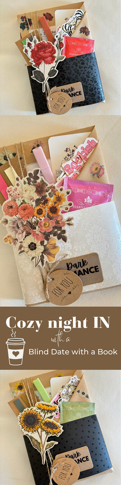 Blind Date with a Book Romance Gift for Book Lover Gift Blind Book Dates Gift Blindate gift Booktok Books for Booklover Personalized Book