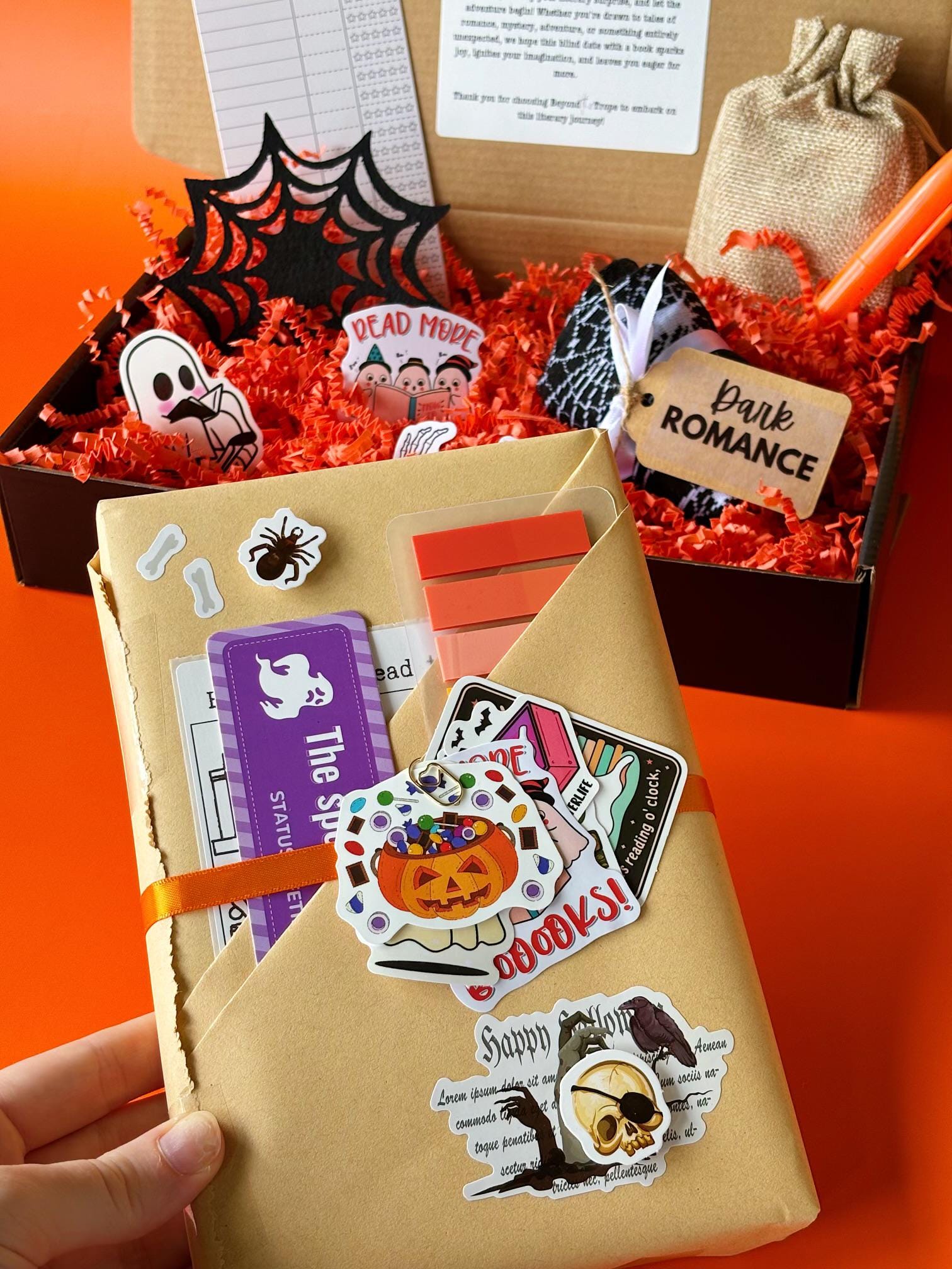 Blind Date with a Book Box for Book Lover Mystery Box for Book Lover Gift Personalized Book Gift for Her Bookworm Gift