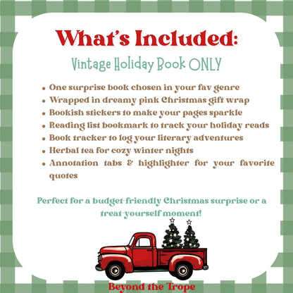 Blind Date with a Book Box, Blind Book Dates, Mystery Book Gift, Bookish Gifts, Book Lover Gift, Custom Book Box, Vintage Holiday